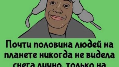 Минута отдыха Интересные короткие факты на все случаи жизни Интересное 