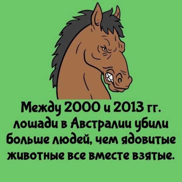 Минута отдыха Интересные короткие факты на все случаи жизни Интересное Минута отдыха Интересные короткие факты на все случаи жизни Интересное