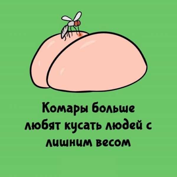 Минута отдыха Интересные короткие факты на все случаи жизни Интересное Минута отдыха Интересные короткие факты на все случаи жизни Интересное
