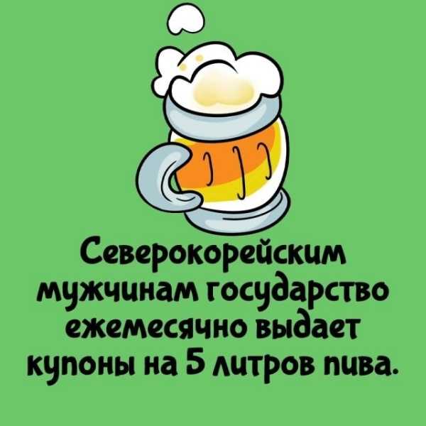 Минута отдыха Интересные короткие факты на все случаи жизни Интересное Минута отдыха Интересные короткие факты на все случаи жизни Интересное
