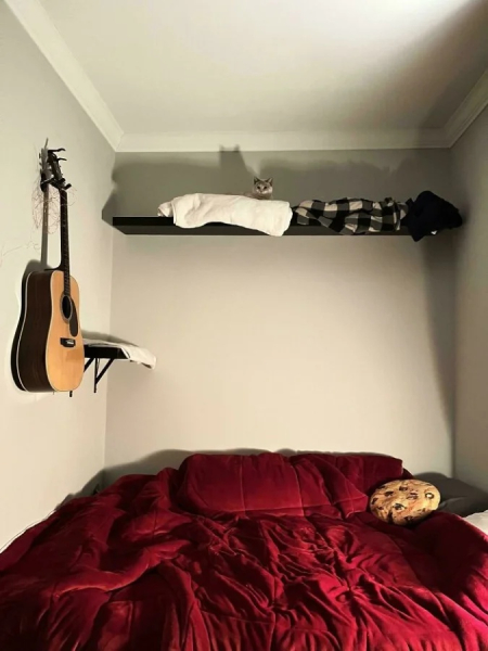 Минута отдыха Милые крохотные котята, открывающие для себя огромный мир Животные 