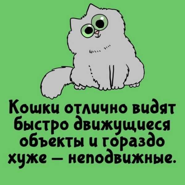 Минута отдыха Интересные короткие факты на все случаи жизни Интересное Минута отдыха Интересные короткие факты на все случаи жизни Интересное