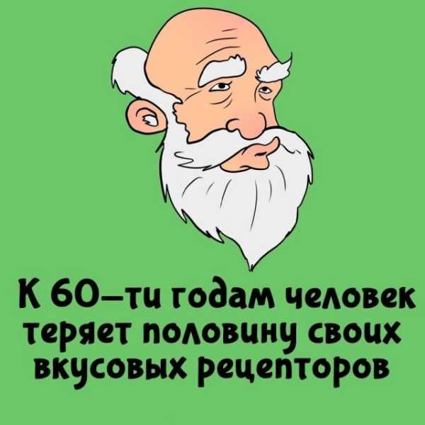 Минута отдыха Интересные короткие факты на все случаи жизни Интересное Минута отдыха Интересные короткие факты на все случаи жизни Интересное