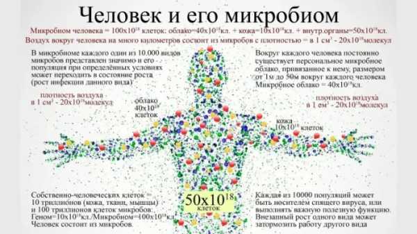 Минута отдыха Забавные и странные вещи о мире, в которые сложно поверить Интересное 