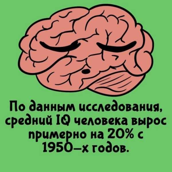 Минута отдыха Интересные короткие факты на все случаи жизни Интересное Минута отдыха Интересные короткие факты на все случаи жизни Интересное