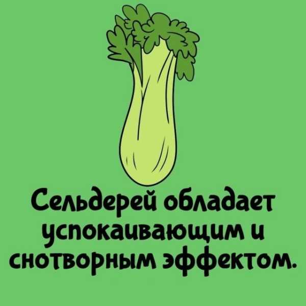 Минута отдыха Интересные короткие факты на все случаи жизни Интересное Минута отдыха Интересные короткие факты на все случаи жизни Интересное